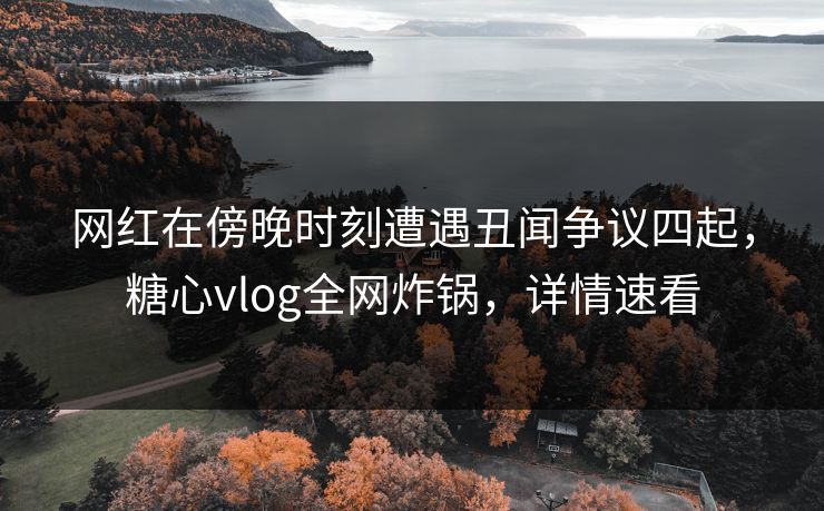 网红在傍晚时刻遭遇丑闻争议四起，糖心vlog全网炸锅，详情速看