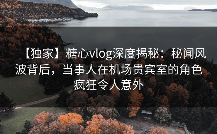 【独家】糖心vlog深度揭秘：秘闻风波背后，当事人在机场贵宾室的角色疯狂令人意外