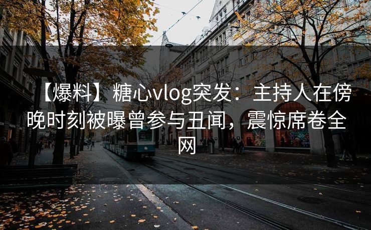 【爆料】糖心vlog突发：主持人在傍晚时刻被曝曾参与丑闻，震惊席卷全网
